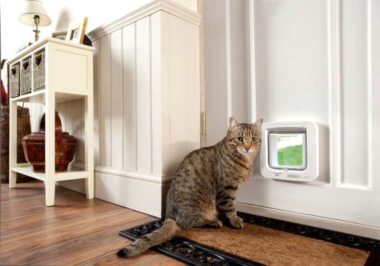 Puertas Inteligentes Para Gatos Sureflap Smylepets