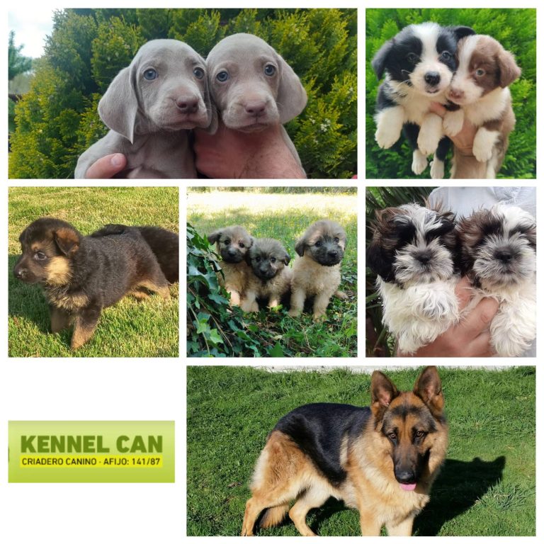 Kennel Can