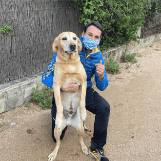 Adiestrador y perro labrador