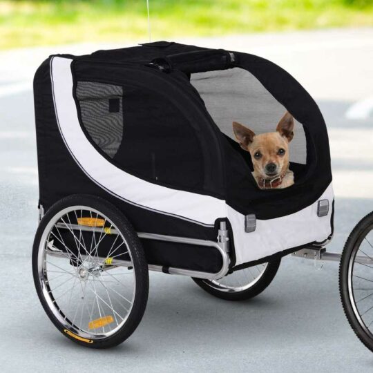 Remolques y cestas de bicicleta para perros, ¿Cuál comprar?