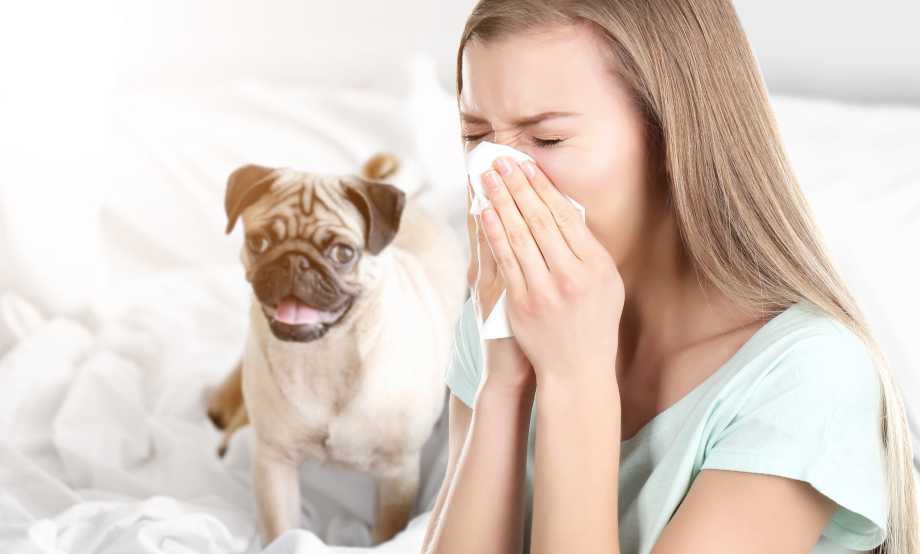 alergia a los perros
