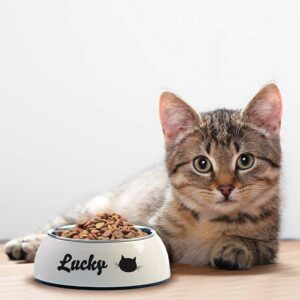 5 Mejores marcas de pienso para gatos esterilizados