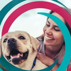 Collar antiparasitario para perros: Mejores marcas