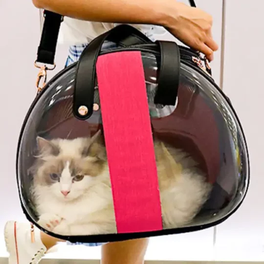 mejores transportines para gatos