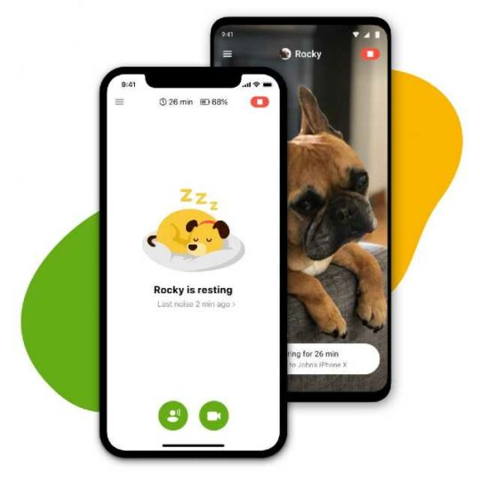 Aplicaciones de perros: 6 apps verdaderamente útiles