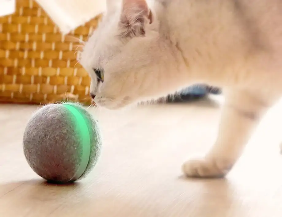 mini pelota automática para gatos 