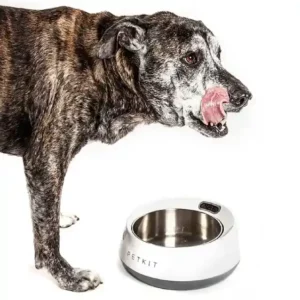 Comedero inteligente para perros Petkit: Control de peso