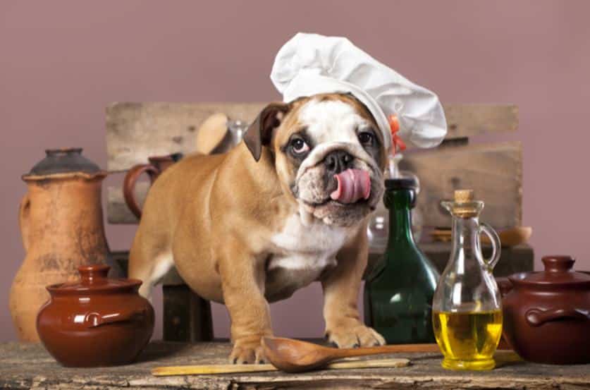 comida casera personalizada para perros