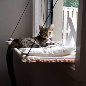 hamacas de ventana para gatos