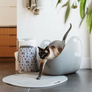 Complementos para el arenero de tu gato: 4 opciones smarts