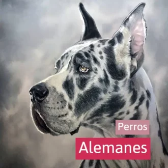 perros alemanes