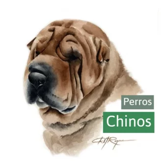 perros chinos