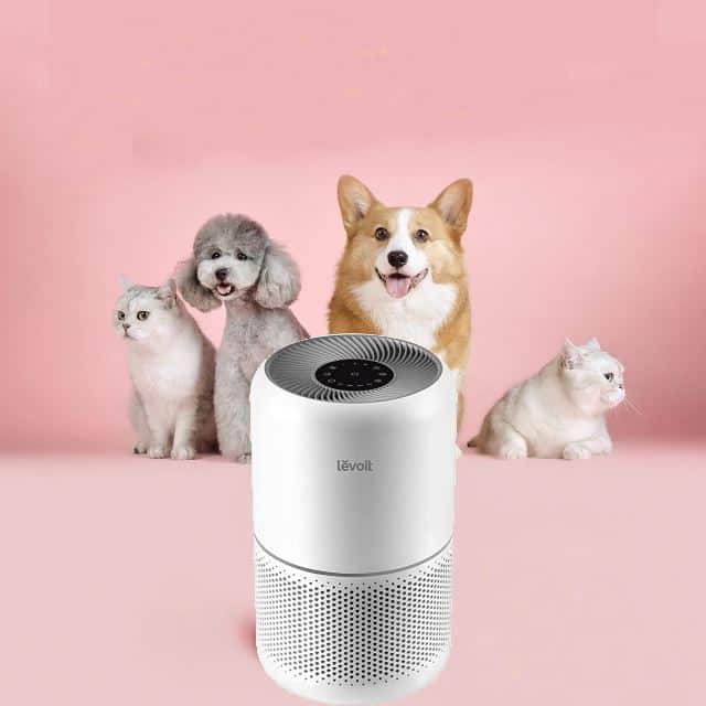 Purificadores de aire Levoit para hogares con mascotas
