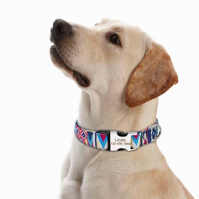 collar para perros personalizado