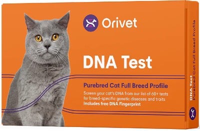 test orivet gatos