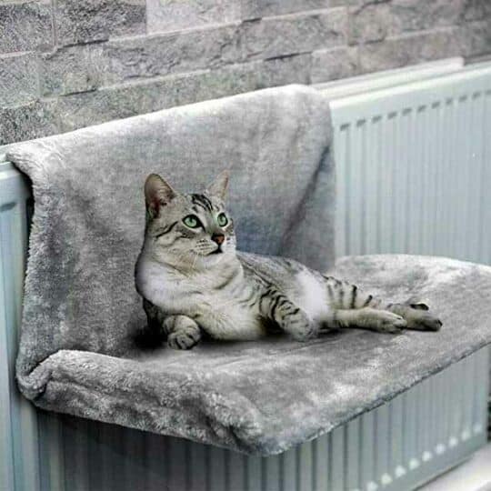 Mejor cama radiador para gatos, ¿Cuál comprar?