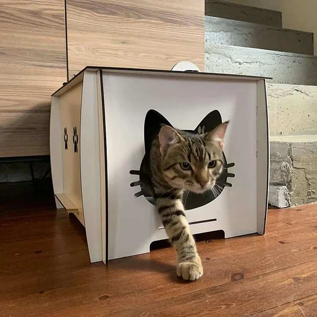 casas de interior para gatos