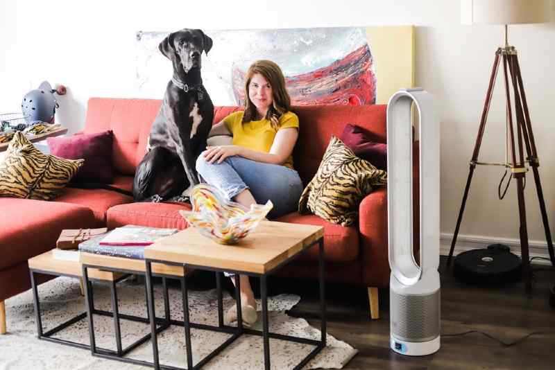 purificador de aire Dyson para hogares con mascotas