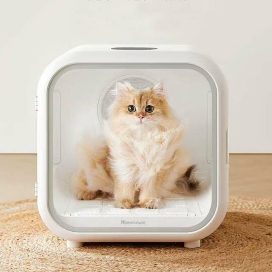 Secador automático para gatos: Secado seguro y silencioso
