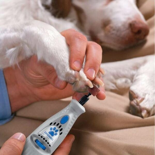 Lima de uñas para perros eléctrica: Manicura perfecta sin dolor