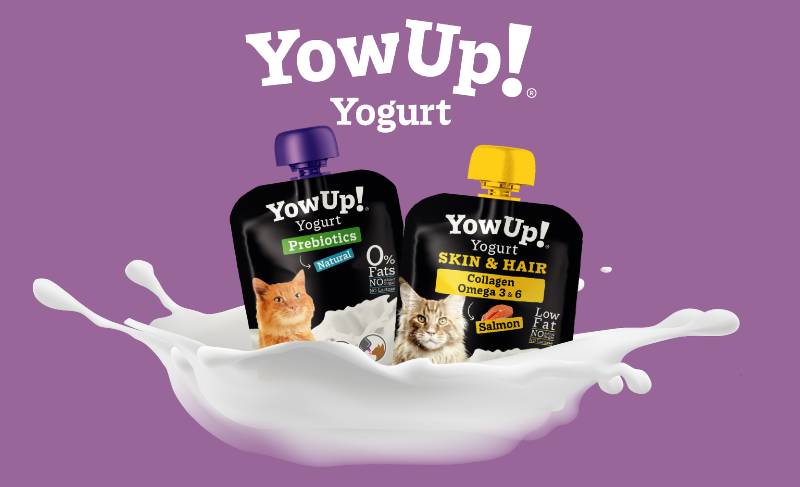 yogures para gatos yowup