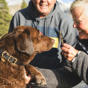 16 razas de perros para personas mayores